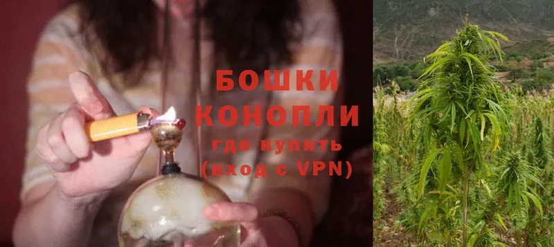 Каннабис White Widow  MEGA зеркало  Каргополь 